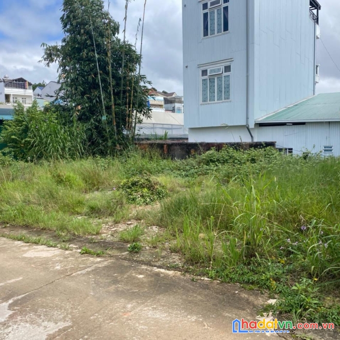 Bán đất biệt thự đường phan chu trinh p̣9 đà lạt 232m2