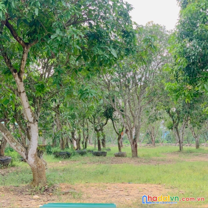 (đang phát triển kdl sinh thái) nhưng vì lí do khách quan nên không thể tiếp tục