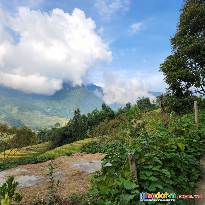 Bán đất sapa- mảnh đất view cực đẹp tại tả van mông, sapa