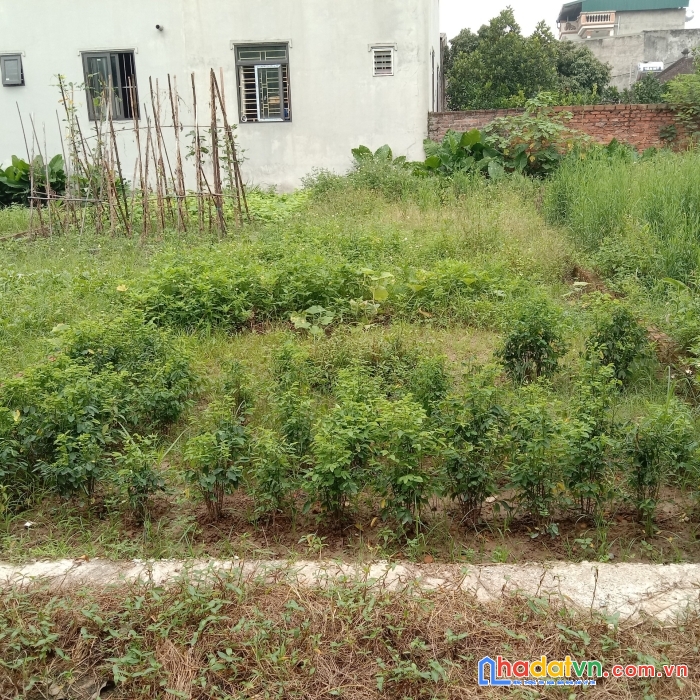 Bán gấp trả nợ ngân hàng, 64.2m2 lâm tiên, nguyên khê, đông anh giá 1.7 tỷ.
