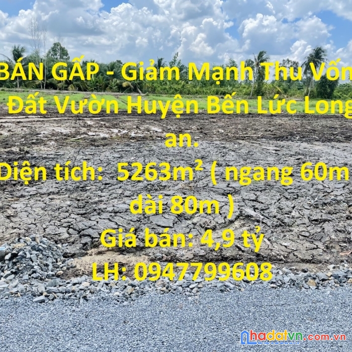 Bán gấp - giảm mạnh thu vốn - đất vườn huyện bến lức long an.