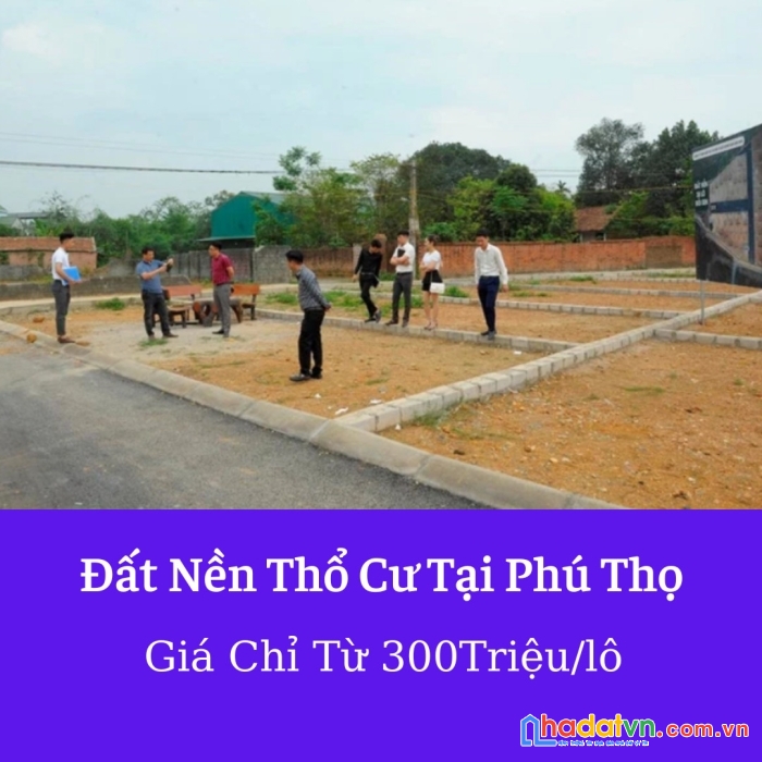 Đất nền giá rẻ phú thọ