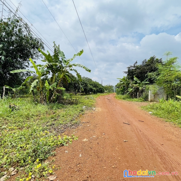 Cần bán gấp đất thổ cư bù đăng 250m2 , mt18m , đối diện trường cấp 3