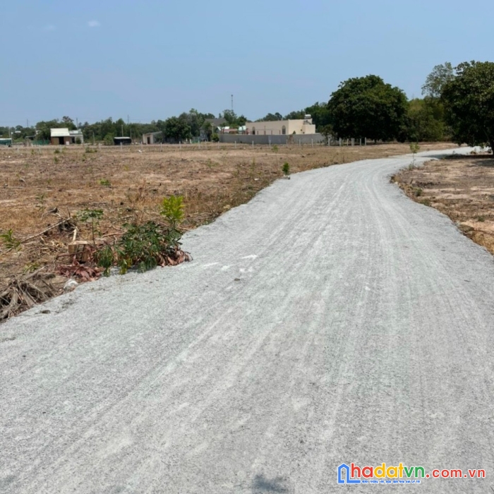 Cần bán gấp lô đất đẹp gía đầu tư tại xã láng dài, huyện đất đỏ, tỉnh bà rịa - vũng tàu