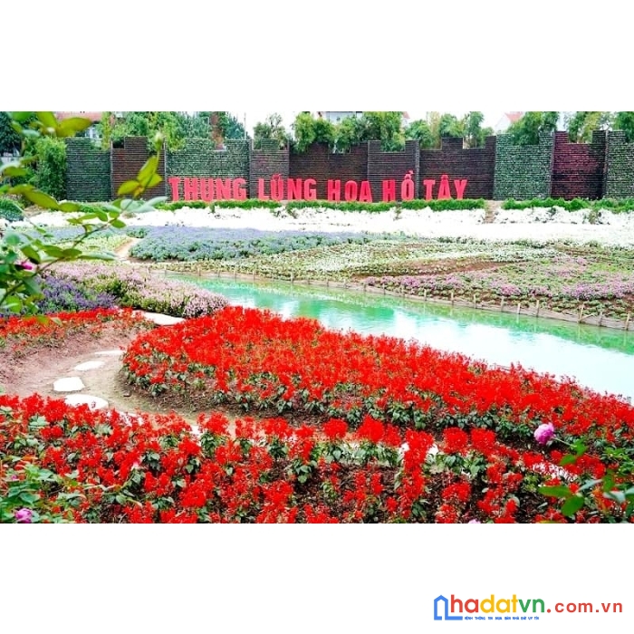 Bán mảnh đất âu cơ - quảng an - tây hồ. dt lớn 430m2. mt 12m. giá 59 tỷ