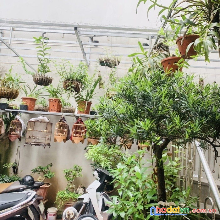 Bán nhà ngõ an trạch, đống đa. 122m, mặt  tiền 9m giá 8 tỷ nhỏ