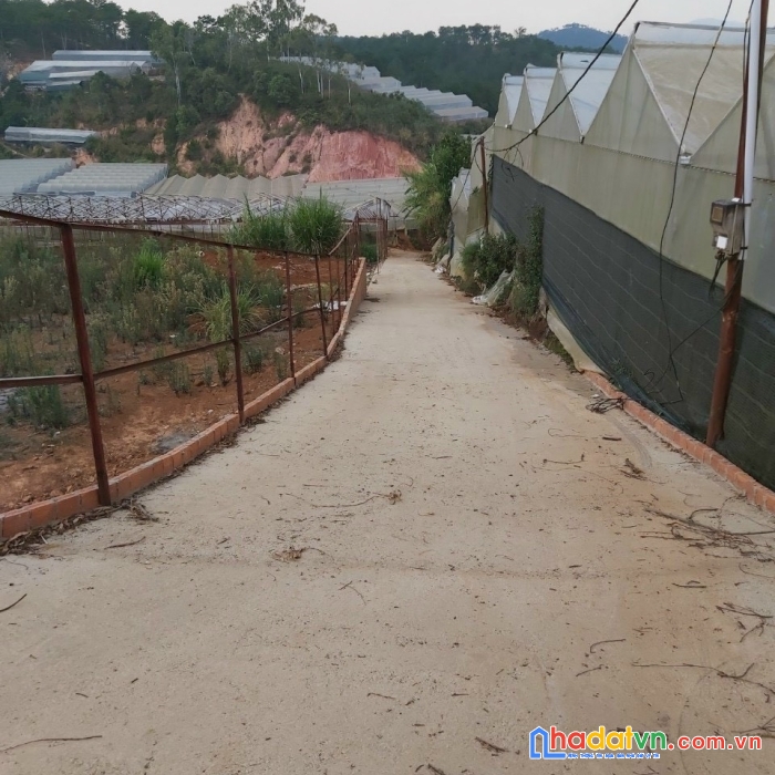 Cần bán lô đất sổ chung nông nghiệp – sắp mở đường lớn (500m) tp đà lạt