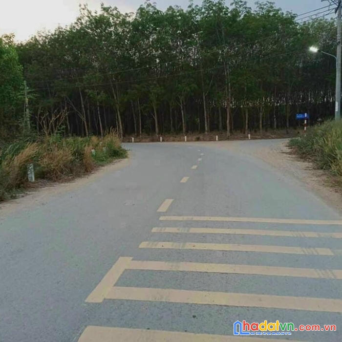 Chính chủ cần cho thuê lô đất thương mại dịch vụ vị trí đẹp tại