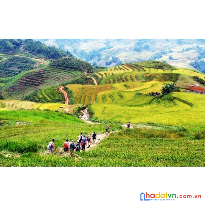 Đất nền sapa giá rẻ phù hợp làm homestay, biên độ lợi nhuận tăng giá cao. view thung lũng, săn mây