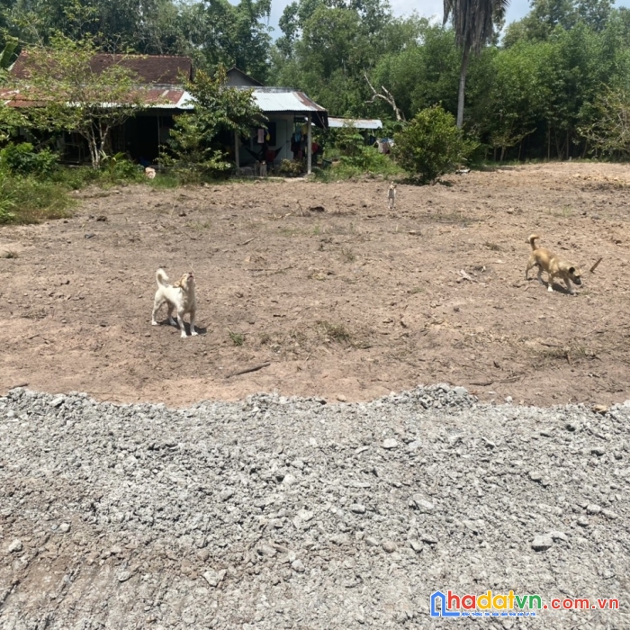 Bán đất giá rẻ siêu đầu tư tại gò đâu 5x40 giá chỉ 440tr