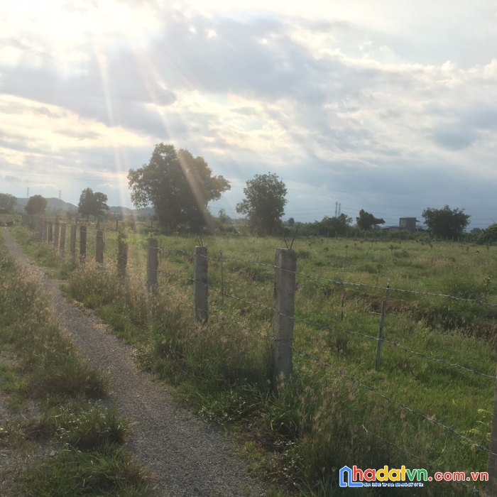 Đất chính chủ cực đẹp tại thái hoà - hồng thái - bắc bình - bình thuận. giá cực tốt