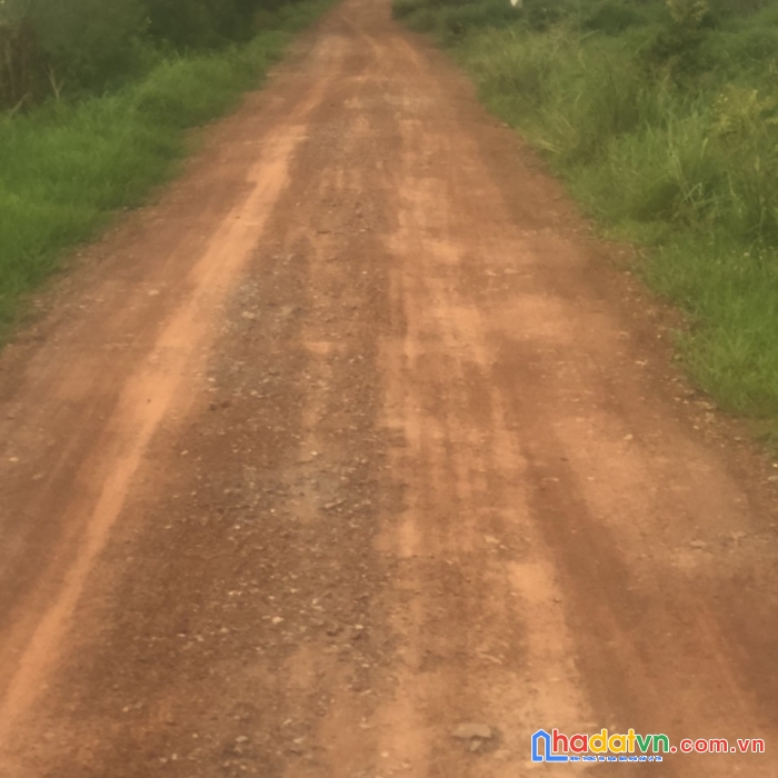 Chính chủ cần bán gấp 2 lô đất vị trí đẹp tại hàm kiệm, hàm thuận nam, bình thuận