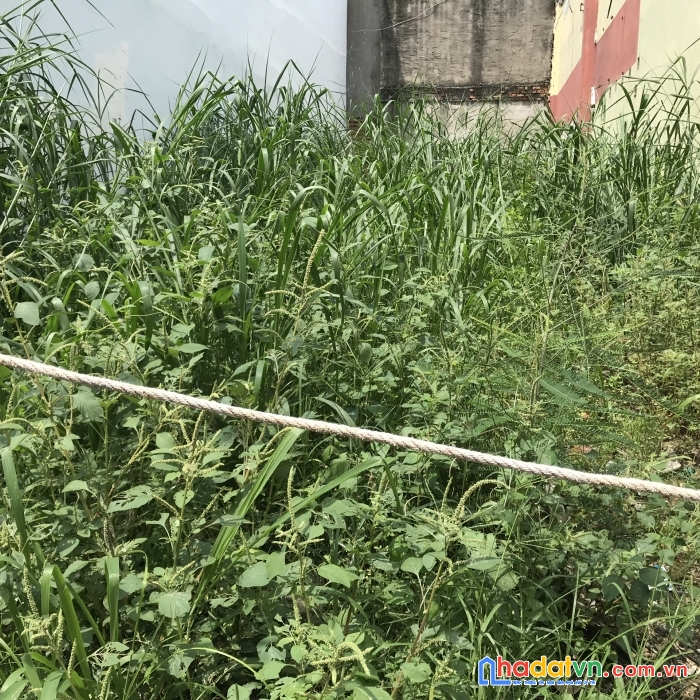 Bán đất quận 12 giá rẻ- 85m2.hẻm xe hơi thông.