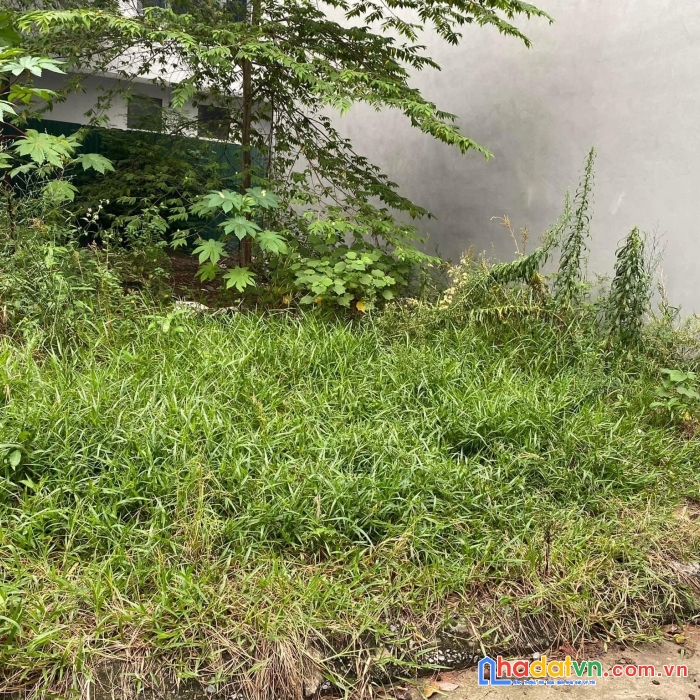 Bán 100m2 đất ô tô kinh doanh trạm trôi hoài đức siêu rẻ, chỉ 1,7 tỷ.