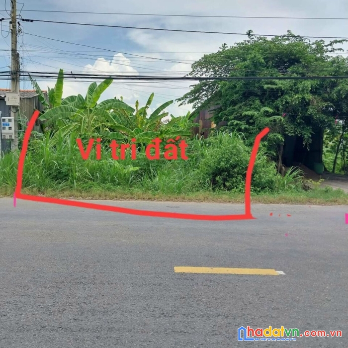 Sở hữu ngay lô đất mặt tiền siêu đẹp vị trí đắc địa tại long an