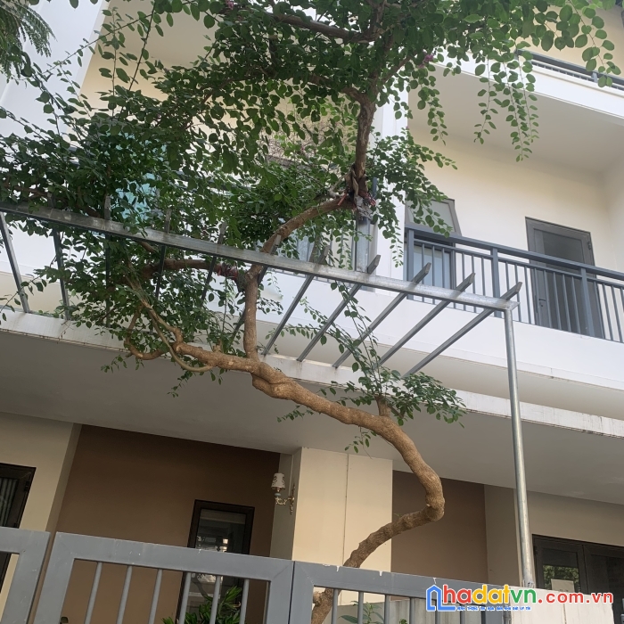 Cần bán gấp nhà liền kề thết kế theo phong cách singapore đẳng cấp