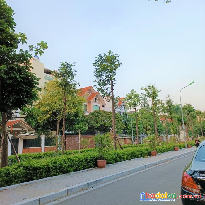 Bán biệt thự kđt mới an hưng – hà đông: dt306m – 3tầng – mt12m: giá 48 tỷ