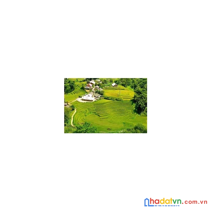 Đất nền trung tâm sapa phù hợp xây dựng khách sạn.