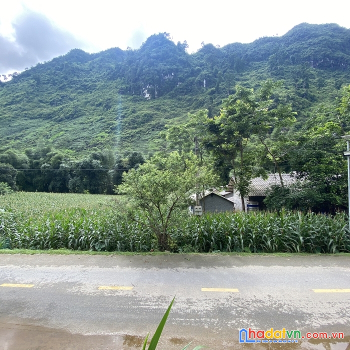 Đất nền hà giang giá rẻ, có thổ cư, pháp lý rõ ràng. bán nhanh 1086m2 đầu cầu 2, xã cán tỷ , huyện