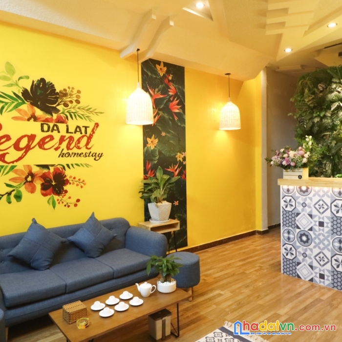 Cần sang lại homestay tại: b20 hoàng văn thụ đà lạt, lâm đồng