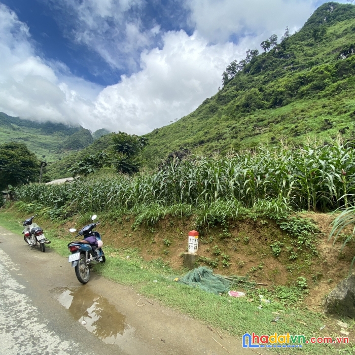 Bán đất hà giang phù hợp xây dựng homestay đón khách du lịch, đầu tư sinh lời cao