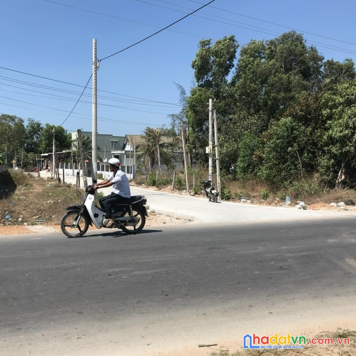 Cần bán gấp lô đất đẹp gía đầu tư tại thôn tân lý 2, xã tân bình, thị xã lagi, bình thuận