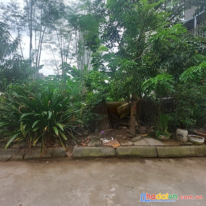 Bán đất phố trạm 50m mt3.8 thông, ôtô mặt phố ôtô vỉa hè 15m