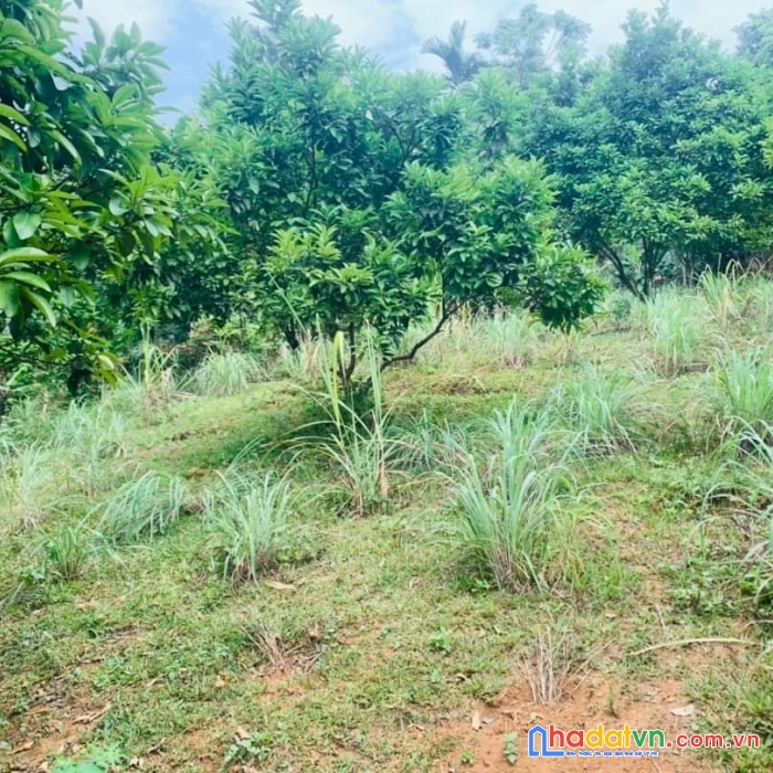 Bán đất hợp phong, cao phong, hòa bình, 4830m2 giá thỏa thuận