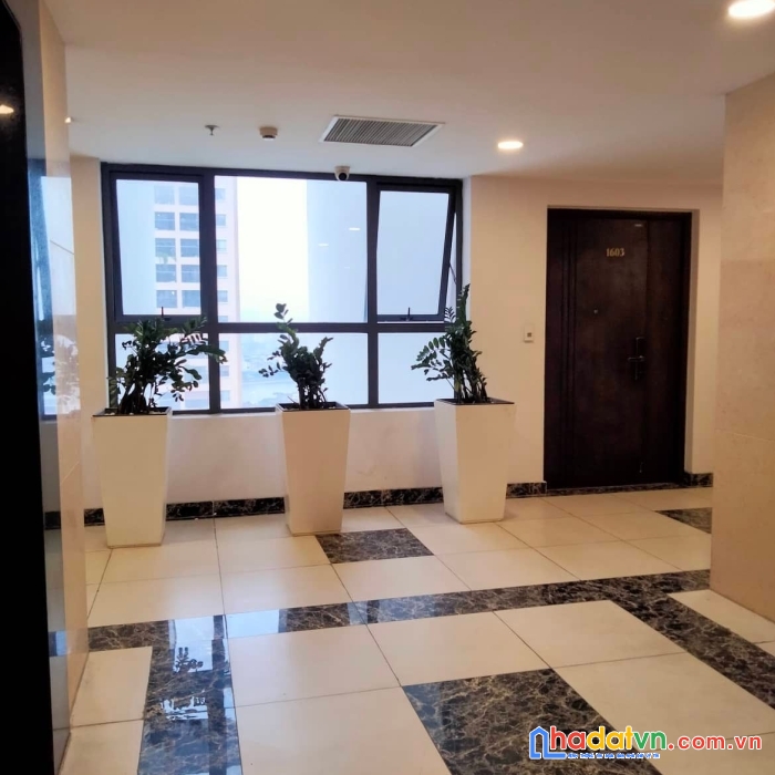 Cần bán chcc cao cấp nguyễn cảnh dị hoàng mai 76,4 mét 3 pn chỉ 3 tỷ7