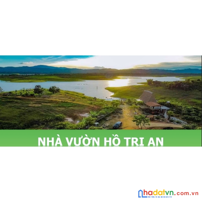 Đất vườn hồ trị an 1000m2 sổ hồng la ngà định quán đồng nai