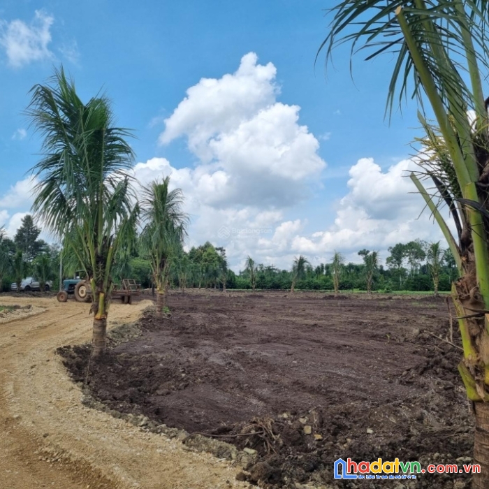 Đất vườn glamping xuân tây cẩm mỹ đồng nai view đẹp