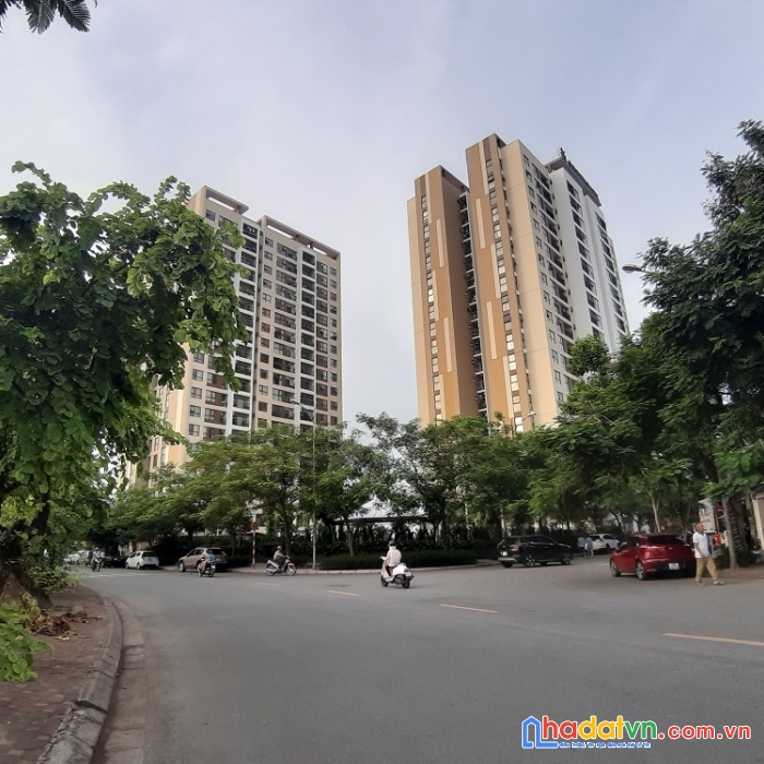 251022 bán bt liền kề đặng xá, gia lâm. 131m2. mặt tiền 6m đông nam. lh ngay 0926782459.