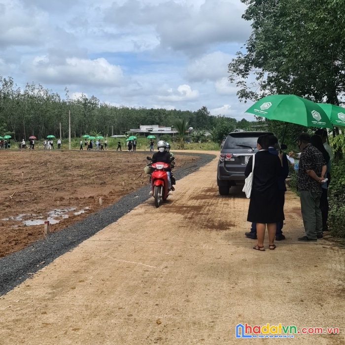 Cần ra nhanh siêu phẩm đất  đẹp đầu tư  lộc thái -lộc ninh -bình phước