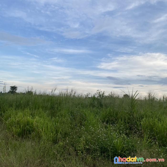 Cần bán nhanh lô đất vị trí đắc địa tại xã trung hòa-trảng bom-đồng nai