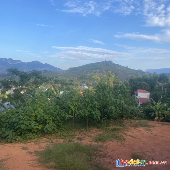  mộc châu ,đất nền trên cao nguyên ,giá hợp lý ,lợi nhuận cao