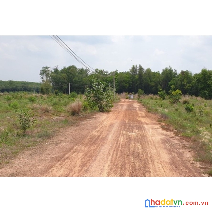 Đất ngộp châu thành tây ninh 