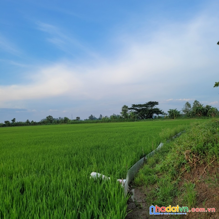 Cần bán nhanh, lô đất vị trí đắc địa tại tỉnh an giang