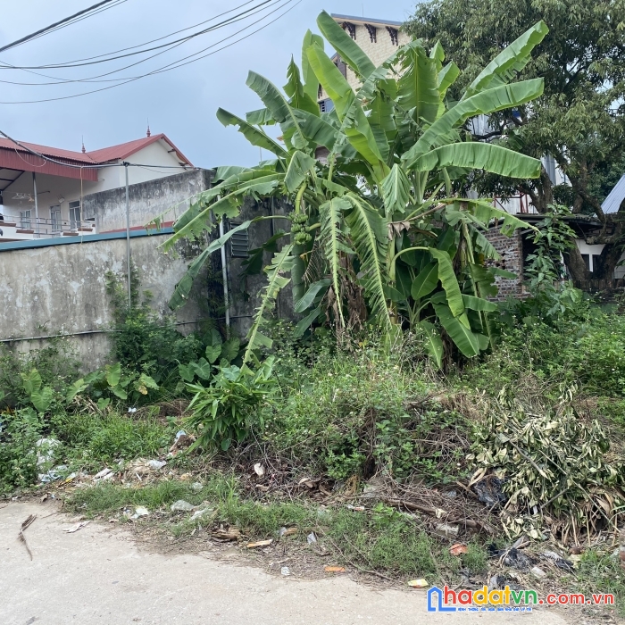 Đất đẹp xuân lễ tân dân - sóc sơn - hà nội mà 68m² chỉ nhỉnh tỉ, đường oto tránh