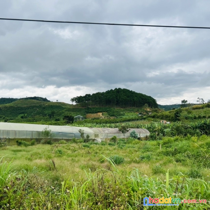 Sở hữu ngay lô đất đẹp tại xã nam hà, huyện lâm hà, lâm đồng