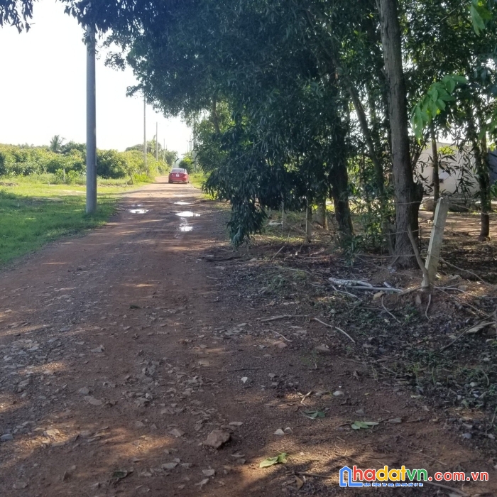 Cần tiền kinh doanh nên  bán gấp lô đất đẹp gía đầu tư tại xã thắng hải, hàm tân, bình thuận.