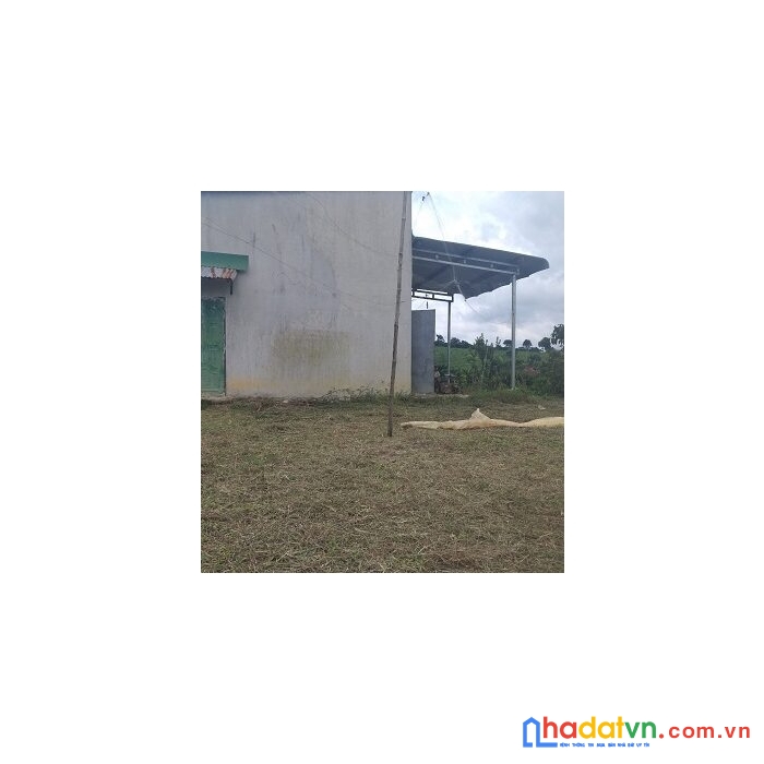 Cần bán nhanh lô đất mặt tiền chính chủ tại thôn 8, tân lâm, di linh, lâm đồng