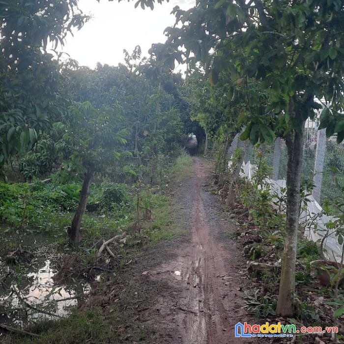 Chính chủ cần bán lô đất chữ l vị trí đẹp tại đồng tháp