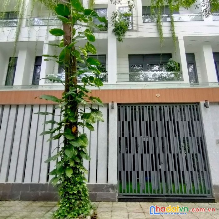 (sock) 100tr/m2, chdv hxh lê lợi, 10 x 16, 160m2, dt hơn 100tr/tháng, 0967229394