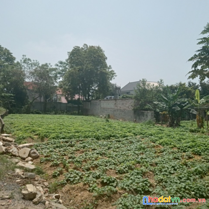Bán đất xã thanh bình, chương mỹ, 660m2, mt46m, nhỉnh 6 tỷ