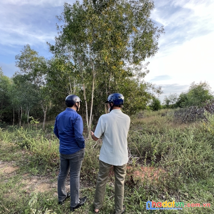 Đất đẹp 1000m2 giá đầu tư  ngay trục đường bàu me xã thiện nghiệp