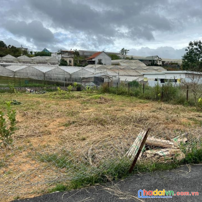 Bán 3 lô đất măng line phường 7 đà lạt