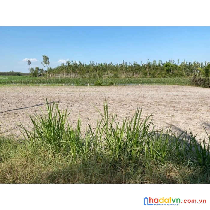 Bán đất châu thành tây ninh 490tr