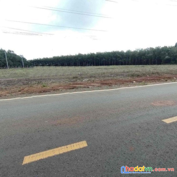 ( tin hót ) thu hồi vốn, bán gấp đất ngay kcn pháp lý, sổ hồng riêng,