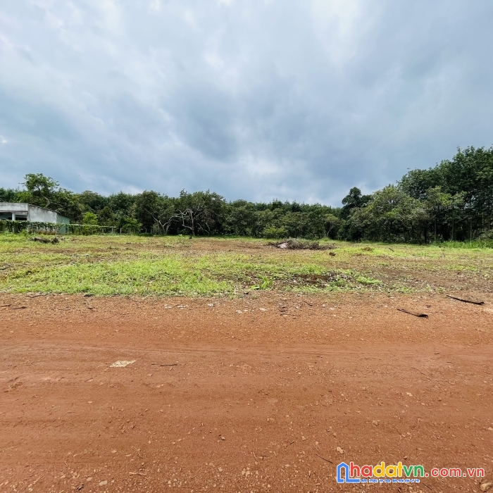 Kẹt tiền bán gấp đất thổ cư 250m2(5x50) mt 18m chỉ với 300tr