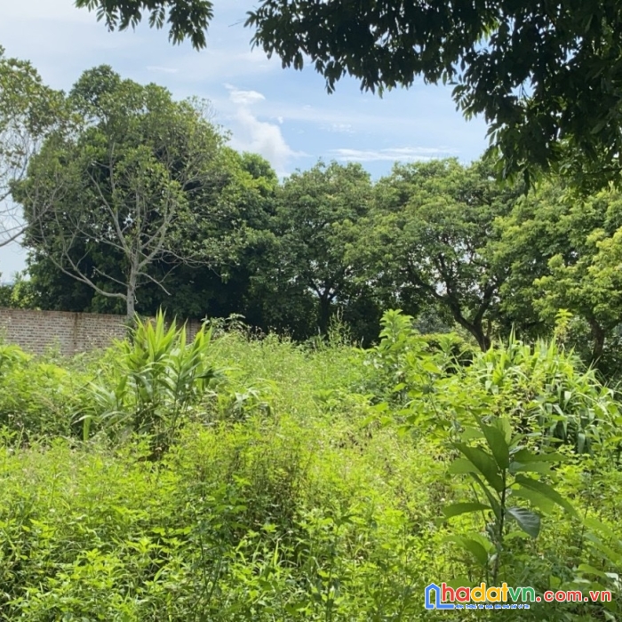 Cần bán đất vị trí đẹp tại tp uông bí tỉnh quảng ninh